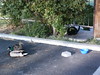 1bmwfan > DCF 1.0